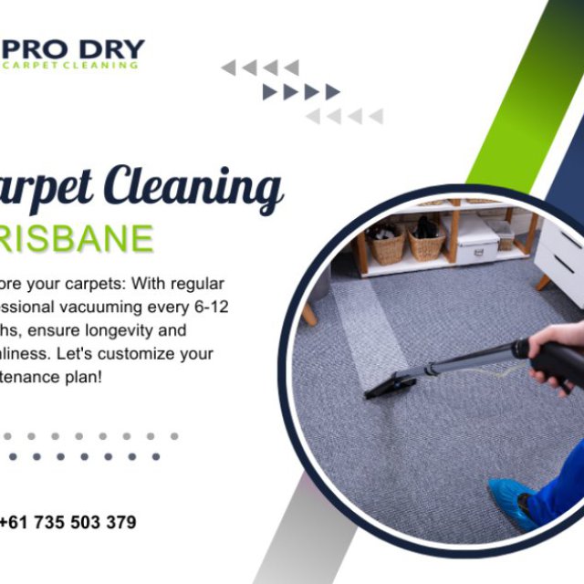 PRO DRY Carpet Cleaning