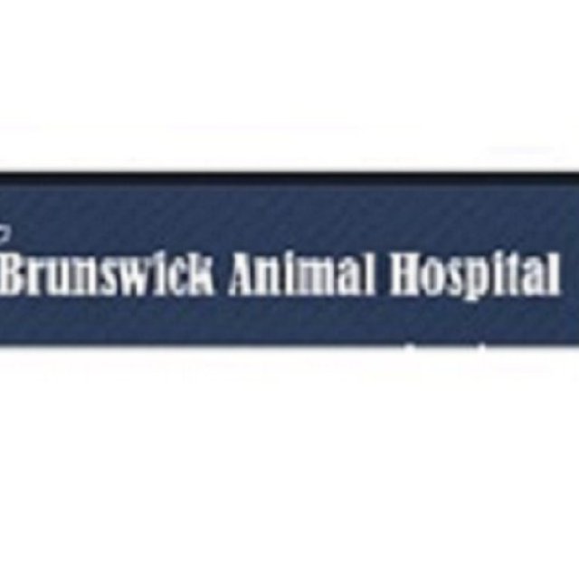 Brunswick Animal Hospital