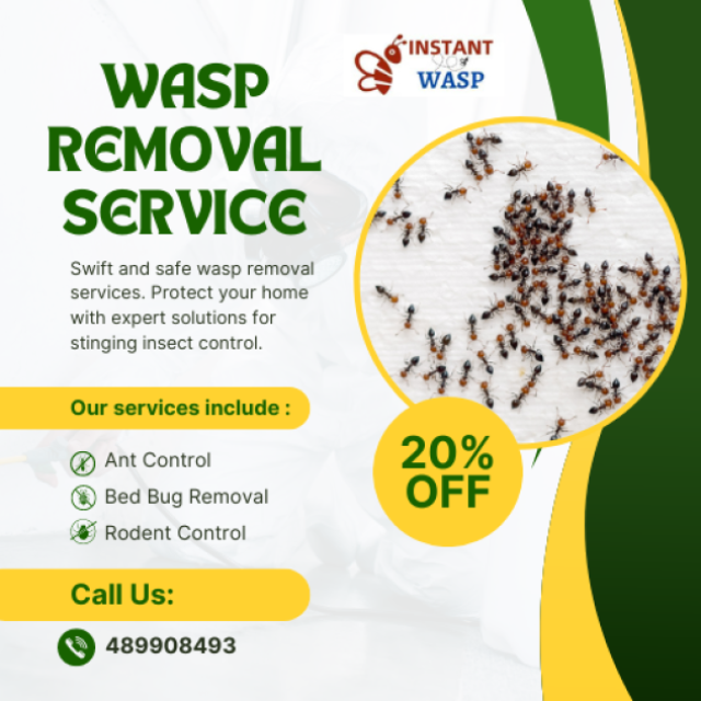 Wasp Removal Badger Creek