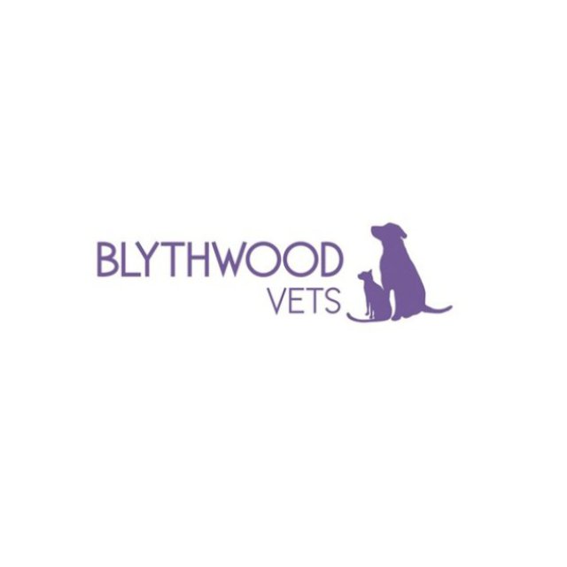 Blythwood Vets - Hatch End