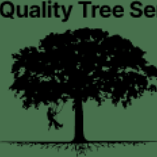 Best Quality Tree Service