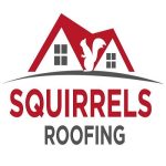 Squirrels Roofing